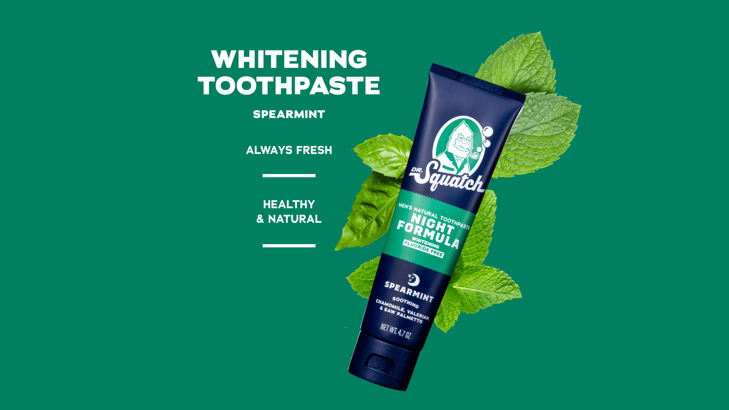Scent notes graphic for Dr. Squatch Soothing Spearmint - Night toothpaste